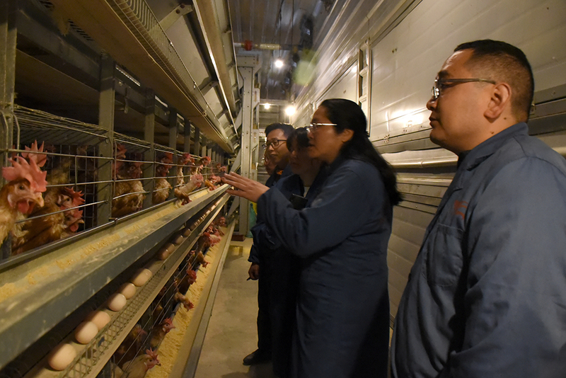 1586836423307046286.jpg 3.jpg