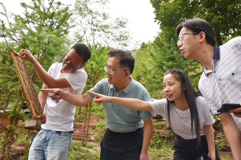 1626962336412048799.jpg DSC_8586.jpg